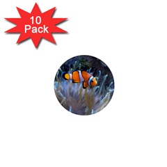 Clownfish 2 1  Mini Magnet (10 Pack)  by trendistuff