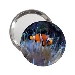 Clownfish 2 2 25  Handbag Mirrors by trendistuff