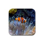 CLOWNFISH 2 Rubber Coaster (Square) 