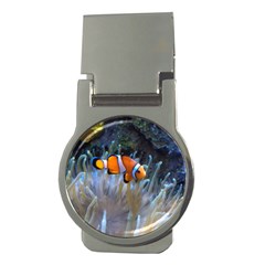 Clownfish 2 Money Clips (round)  by trendistuff