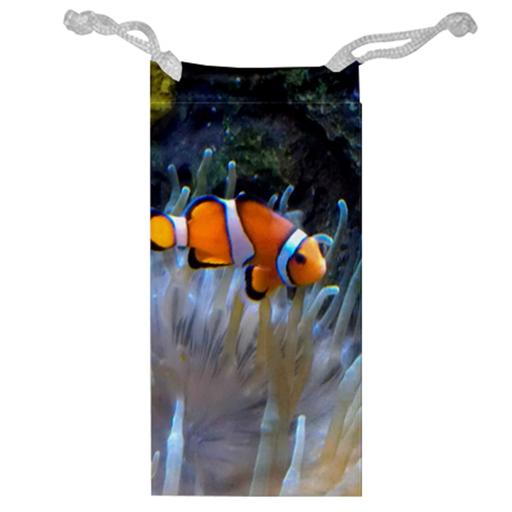 CLOWNFISH 2 Jewelry Bag