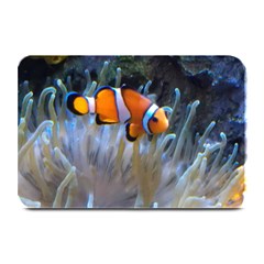 Clownfish 2 Plate Mats by trendistuff