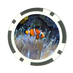 Clownfish 2 Poker Chip Card Guard by trendistuff