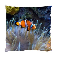 Clownfish 2 Standard Cushion Case (two Sides) by trendistuff