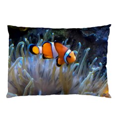 Clownfish 2 Pillow Case by trendistuff