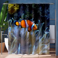 Clownfish 2 Shower Curtain 60  X 72  (medium)  by trendistuff