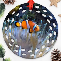 Clownfish 2 Ornament (round Filigree) by trendistuff