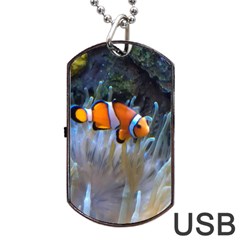 Clownfish 2 Dog Tag Usb Flash (two Sides) by trendistuff