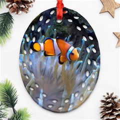 Clownfish 2 Ornament (oval Filigree) by trendistuff