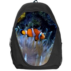 Clownfish 2 Backpack Bag by trendistuff