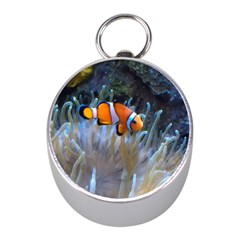 Clownfish 2 Mini Silver Compasses by trendistuff