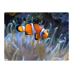 Clownfish 2 Double Sided Flano Blanket (mini)  by trendistuff