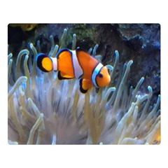 Clownfish 2 Double Sided Flano Blanket (large) 