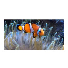 Clownfish 2 Satin Wrap by trendistuff