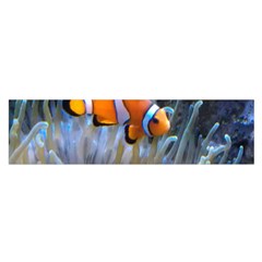 Clownfish 2 Satin Scarf (oblong) by trendistuff