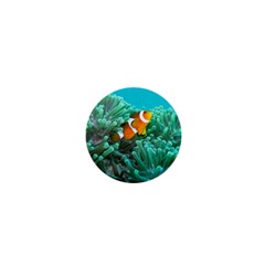 Clownfish 3 1  Mini Magnets by trendistuff