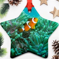 Clownfish 3 Ornament (star) by trendistuff