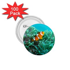 Clownfish 3 1 75  Buttons (100 Pack)  by trendistuff