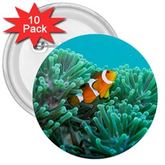 Clownfish 3 3  Buttons (10 Pack)  by trendistuff