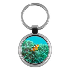 Clownfish 3 Key Chains (round)  by trendistuff