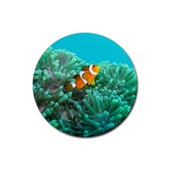 Clownfish 3 Rubber Coaster (round)  by trendistuff