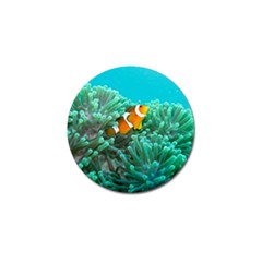 Clownfish 3 Golf Ball Marker (4 Pack) by trendistuff