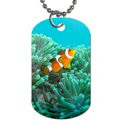 Clownfish 3 Dog Tag (two Sides) by trendistuff