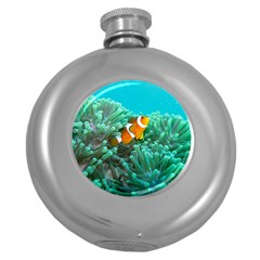 Clownfish 3 Round Hip Flask (5 Oz) by trendistuff