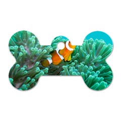 Clownfish 3 Dog Tag Bone (two Sides) by trendistuff