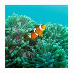 Clownfish 3 Medium Glasses Cloth by trendistuff