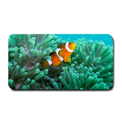 Clownfish 3 Medium Bar Mats by trendistuff