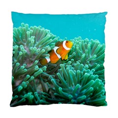 Clownfish 3 Standard Cushion Case (one Side)