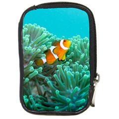 Clownfish 3 Compact Camera Cases by trendistuff