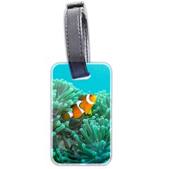 Clownfish 3 Luggage Tags (two Sides)