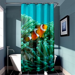 Clownfish 3 Shower Curtain 36  X 72  (stall)  by trendistuff