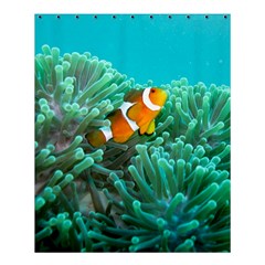 Clownfish 3 Shower Curtain 60  X 72  (medium)  by trendistuff