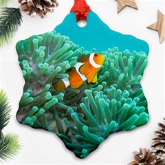 Clownfish 3 Ornament (snowflake) by trendistuff