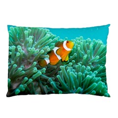 Clownfish 3 Pillow Case (two Sides) by trendistuff