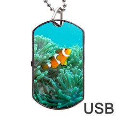 Clownfish 3 Dog Tag Usb Flash (one Side) by trendistuff