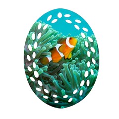 Clownfish 3 Ornament (oval Filigree) by trendistuff