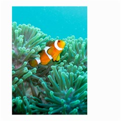 Clownfish 3 Small Garden Flag (two Sides) by trendistuff