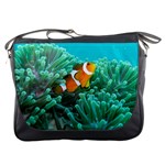 CLOWNFISH 3 Messenger Bags Front