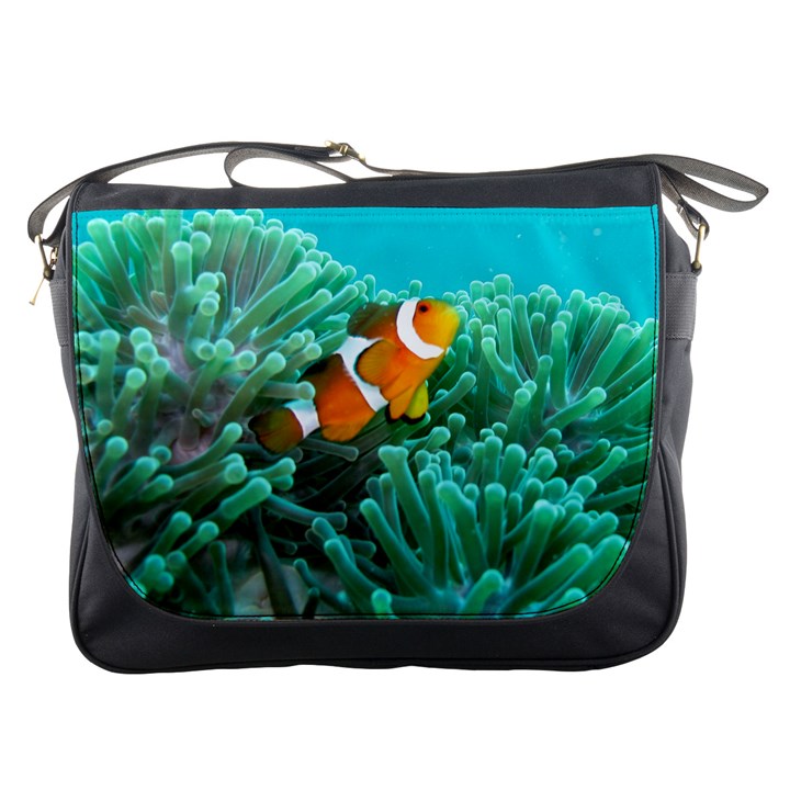 CLOWNFISH 3 Messenger Bags