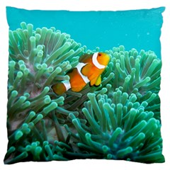 Clownfish 3 Large Cushion Case (one Side) by trendistuff