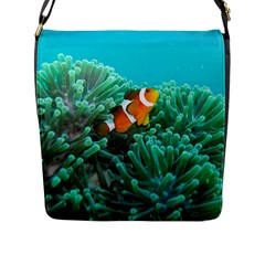 Clownfish 3 Flap Messenger Bag (l)  by trendistuff