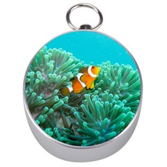 Clownfish 3 Silver Compasses by trendistuff