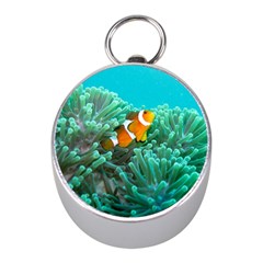 Clownfish 3 Mini Silver Compasses by trendistuff