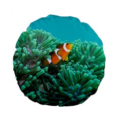 Clownfish 3 Standard 15  Premium Flano Round Cushions by trendistuff