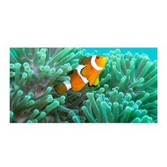 Clownfish 3 Satin Wrap by trendistuff