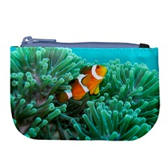 Clownfish 3 Large Coin Purse by trendistuff